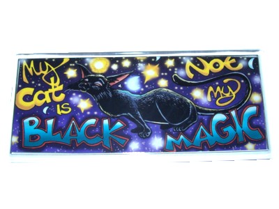 My Cat is Black Not My Magic Magnet